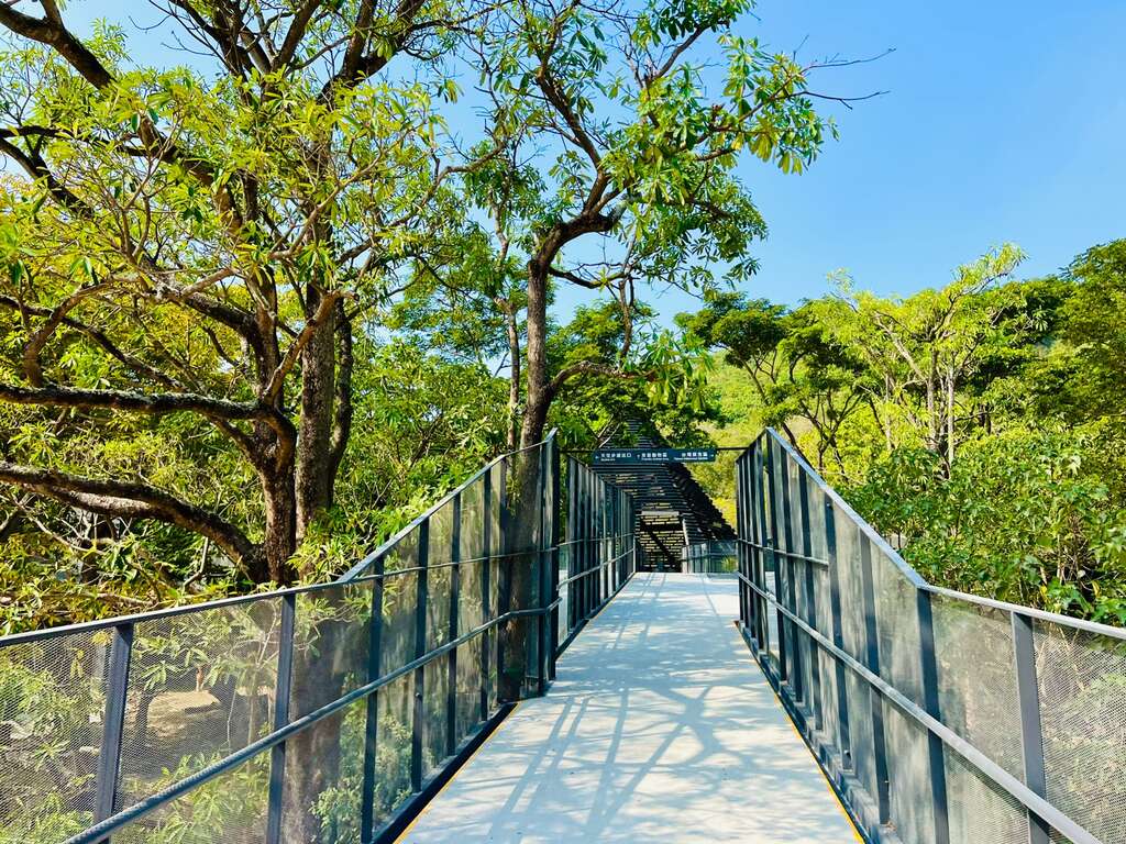 圖3 漫步空中長廊感受園區林蔭之美