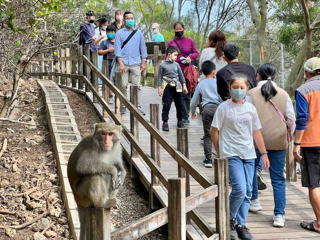圖1 鹿園為獼猴出沒熱區