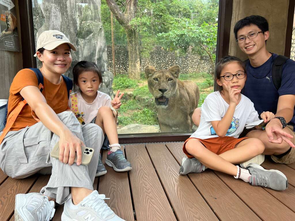 圖3 非洲獅獲選壽山動物園十大動物明星