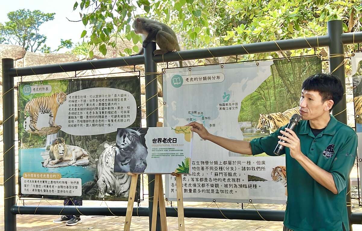 圖6 壽山動物園保育員親自分享老虎知識，獼猴也來旁聽