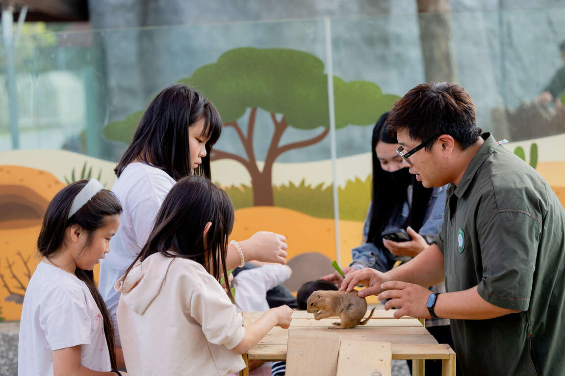 圖1 大小朋友在飼育員引導下與土撥鼠互動