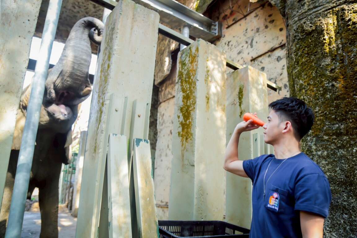 圖4 主要演員重返壽山動物園探訪園區動物(影集《動物園》提供)