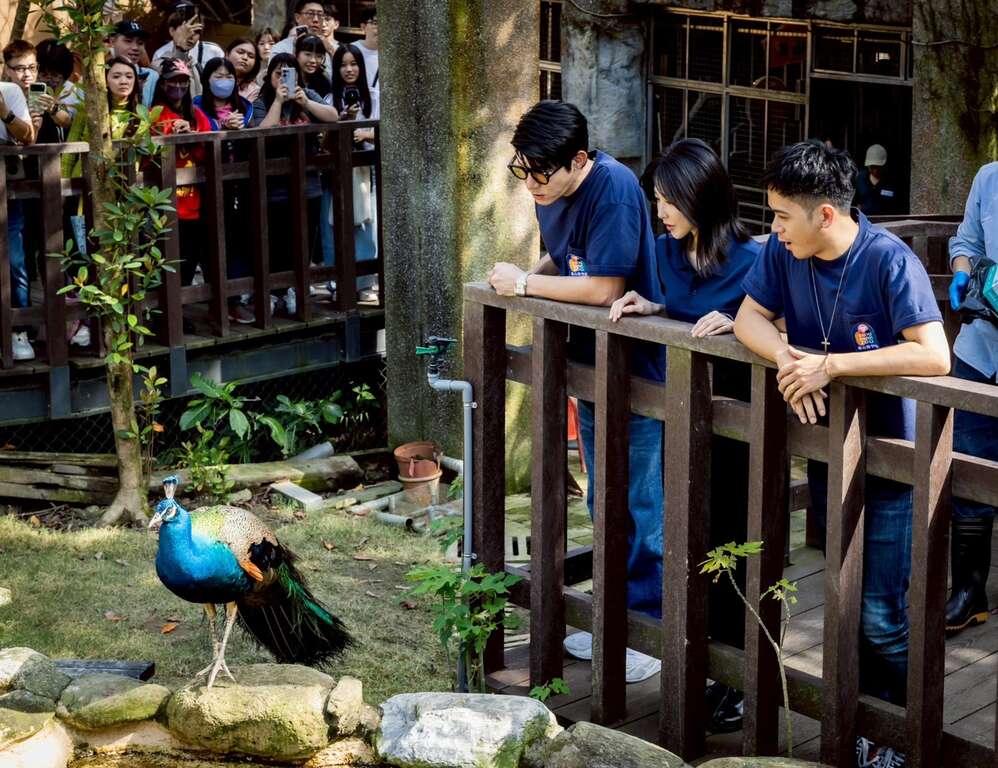 圖5 主要演員重返壽山動物園探訪園區動物(影集《動物園》提供)