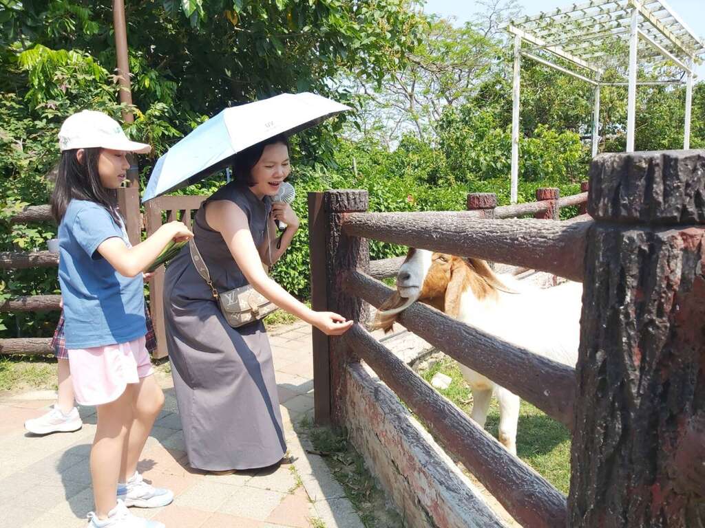 圖1 親子與波爾羊互動