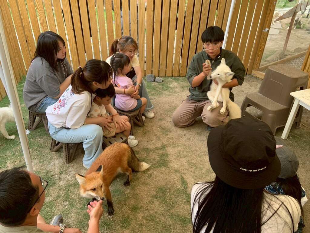 圖7 飼育員向遊客解說狐狸習性(野森動物學校提供)