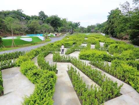 澄清湖風景區迷宮花園