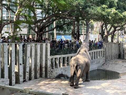 圖4：兒童連假免費入園，帶動參觀人次